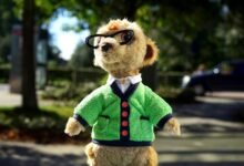 furry character creation guide