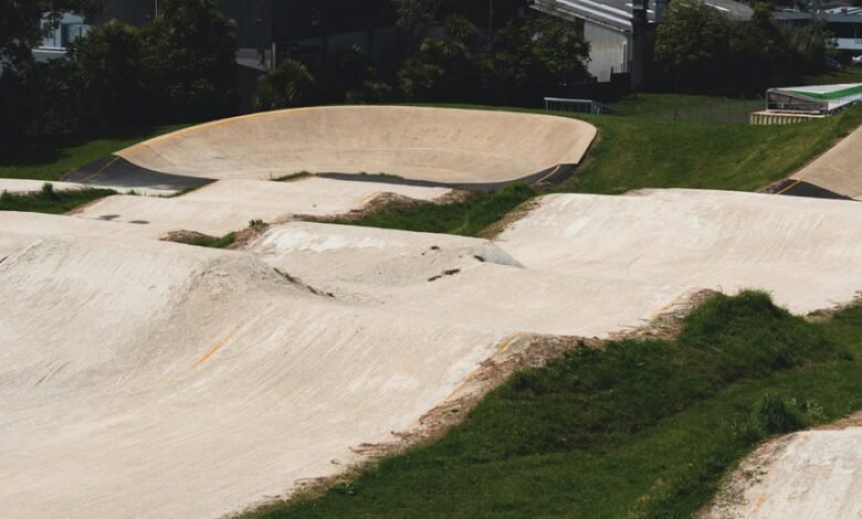 new zealand s renowned sports culture