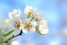 digital transformation and renewal
