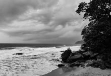 digital waves across oceans