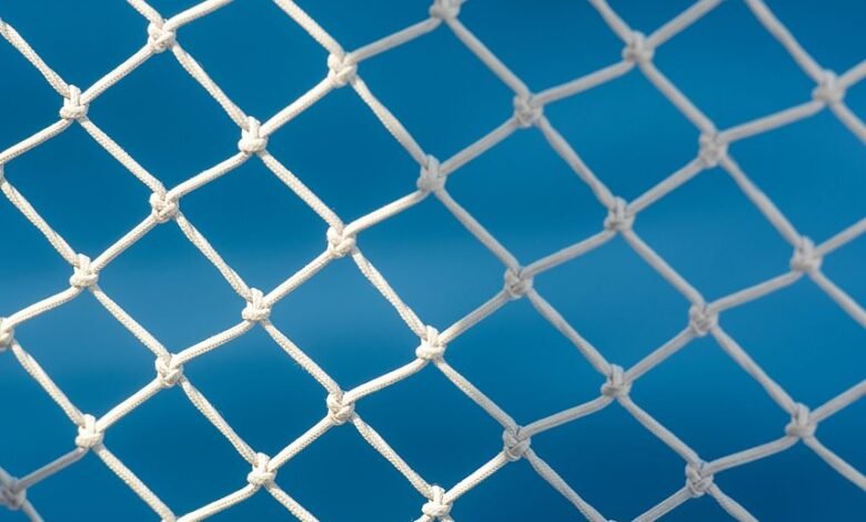 transformative boundary crossing experience