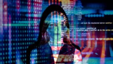 digital development essential framework