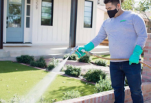 Why Phoenix Residents Are Switching to Recurring House Cleaning and Pest Control Services
