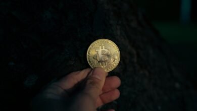 digital business insights revealed