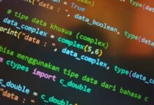 digital development importance highlighted
