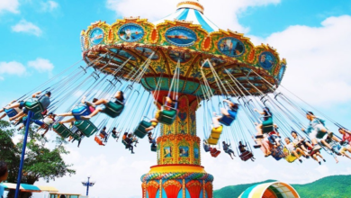 Swing Rides & Carousels: A Complete Guide