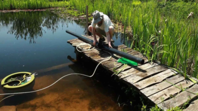 Natural Pond Vacuum Choices for Small and Large Ponds