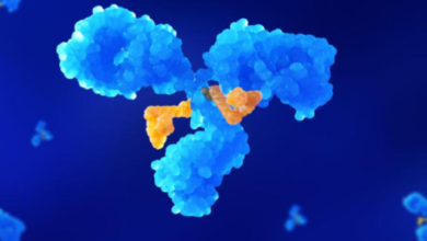 Advanced Bioconjugation and Linker Technologies in ADC Services