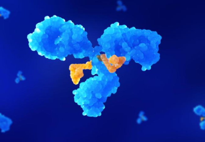 Advanced Bioconjugation and Linker Technologies in ADC Services