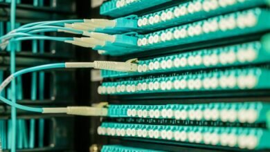 network for professional growth