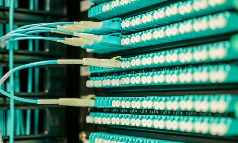 network for professional growth